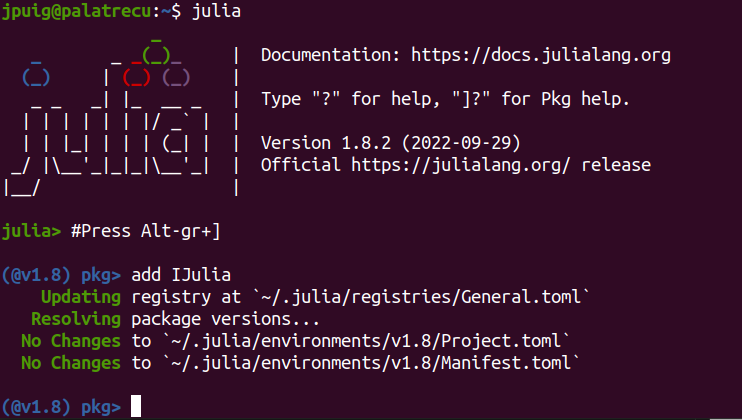 Install IJulia from REPL